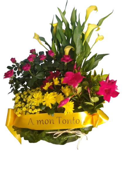 Coupe de plantes à partir de 40€ - Modèle photo : 110€